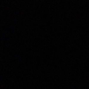 Meet your Posher, Peyton